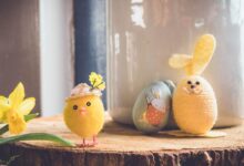 yellow bird plush toy on brown wood
