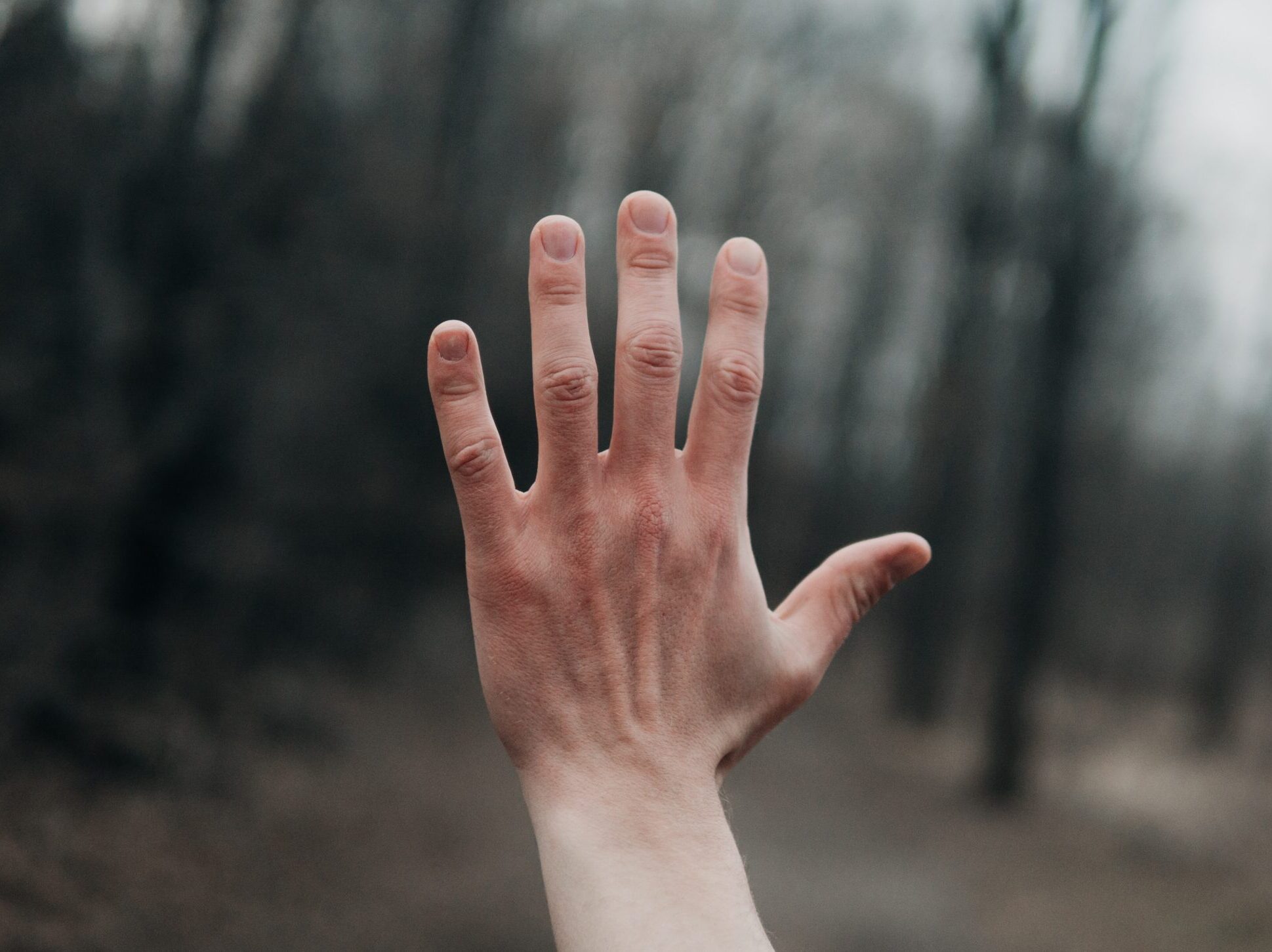 shallow focus photography of person's left hand outside