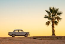 white and black car on brown sand during daytime