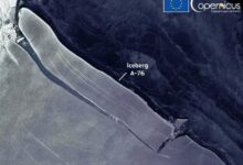 snímky Copernicus Sentinel-1