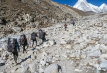 people carrying backpack