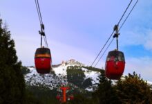 two red and black cable cars surrounded with tall and green trees