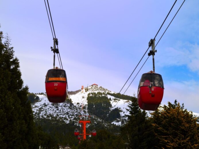 two red and black cable cars surrounded with tall and green trees