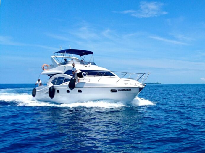 white and blue yacht on sea under blue sky during daytime