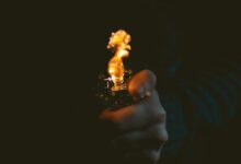person holding lighted lighter