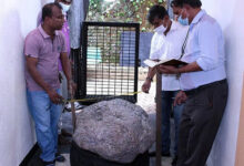 MR GAMAGE