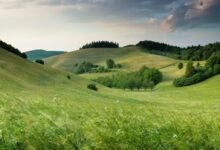 green hills with forest under cloudy sky during daytime