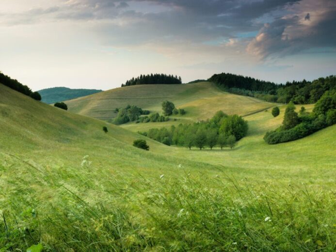 green hills with forest under cloudy sky during daytime