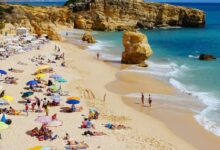 people sun bathing on beach