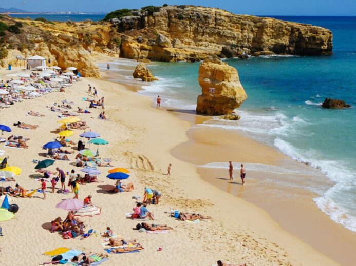 people sun bathing on beach