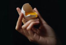 person holding egg