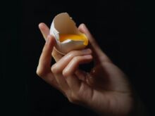 person holding egg