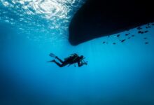 diver on sea