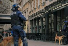 man in blue jacket walking with brown short coated dog on street during daytime