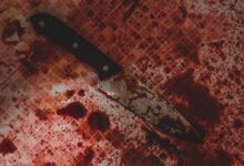 black handled knife on white and red checkered textile