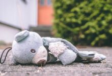 photo of bear plush toy on pavement