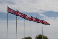 red and white flags on poles