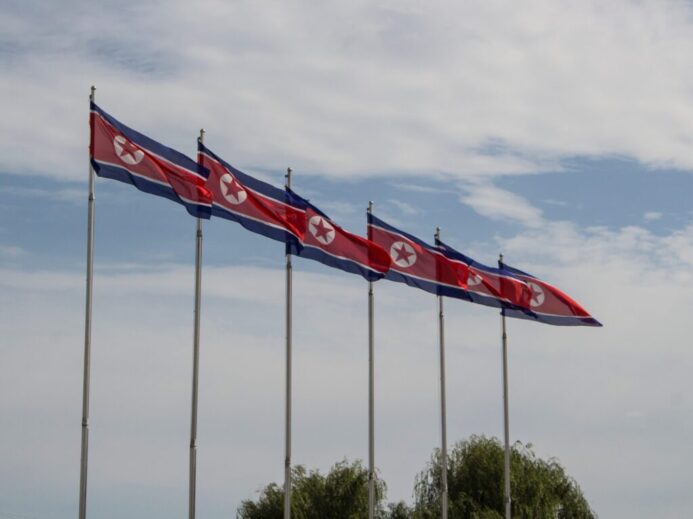 red and white flags on poles