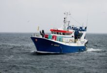 white and blue cargo ship on ocean water