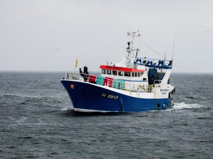 white and blue cargo ship on ocean water