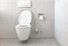 white toilet bowl with cistern