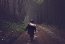 Free-Photos