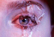 human eye
