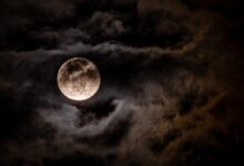 Photo Of A Full Moon