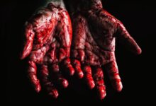 Person's Hands Covered with Blood