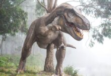 brown dinosaur illustration