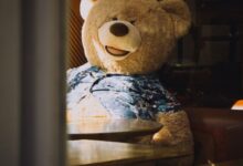 brown bear plush toy on brown wooden table