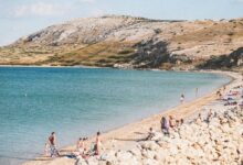 people on beach during daytime