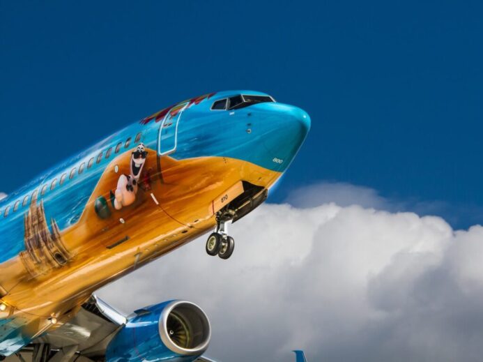 low angle photo of airliner plane