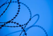 black metal wire fence under blue sky during daytime