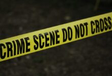 Crime Scene Do Not Cross Signage