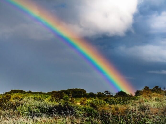 rainbow over green grass field