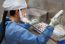 person inside laboratory