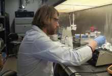 A_scientist_working_in_a_laboratory