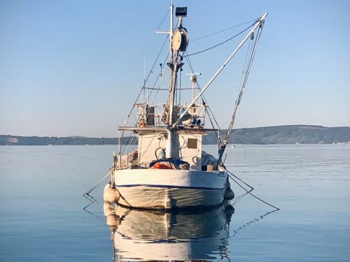 white and brown boat on sea during daytime