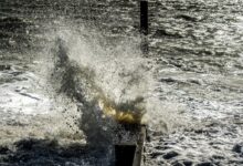 brown wooden dock on sea during daytime