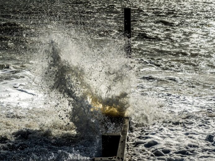 brown wooden dock on sea during daytime