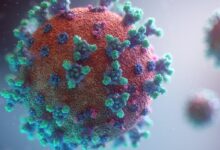 Visualization of the coronavirus causing COVID-19