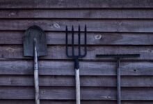 brown shovel and two rakes on brown wooden surface