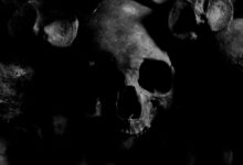 Close-up Photo of Skull