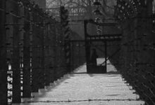 grayscale photo of pathway between trees