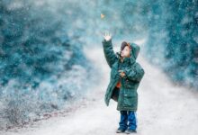 selective focus photography of standing boy reaching for butterlfy