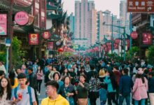 people walking on street during daytime