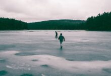 two people in middle of frozen body of water near trees