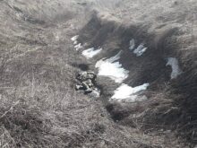 Ukrainian Army.