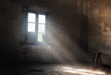 sunrays thru window